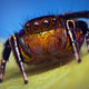 Illustration for article titled Alien monsters or awesome spiders, I just love these little guys
